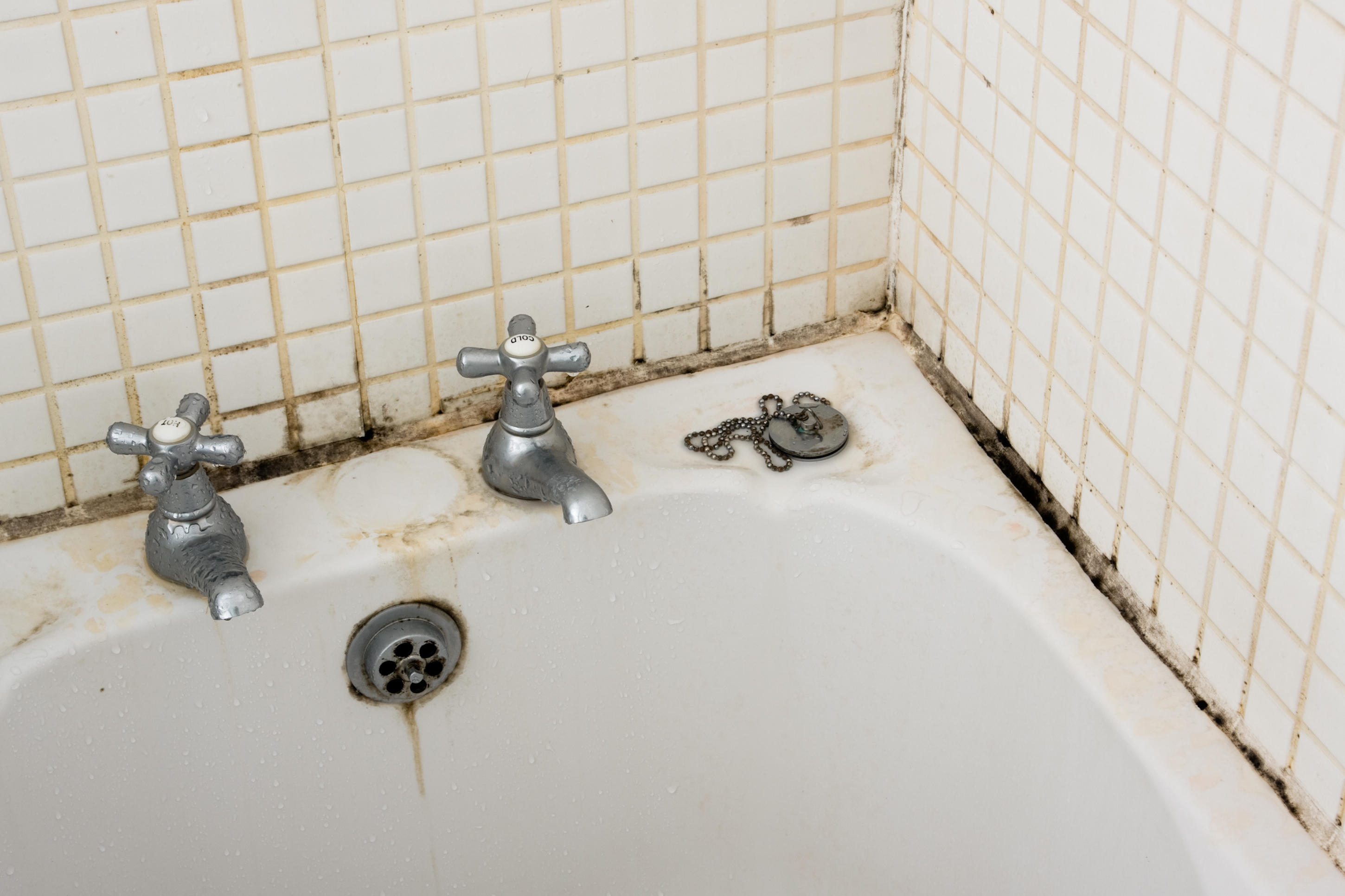 Black Mold In The Shower: How to Clean it